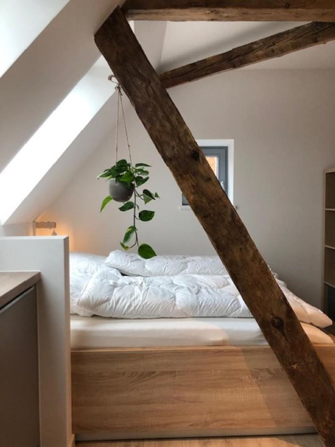 Hotel F-Ritz Schleswig Dış mekan fotoğraf